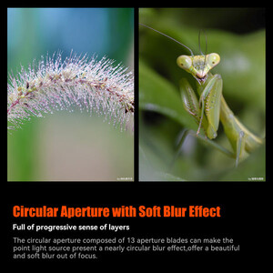 AstrHori 120mm f/2.8 2X Macro Lens (Canon RF) - Thumbnail