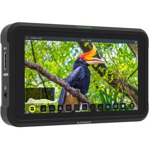 Atomos - Atomos Shinobi 5.2