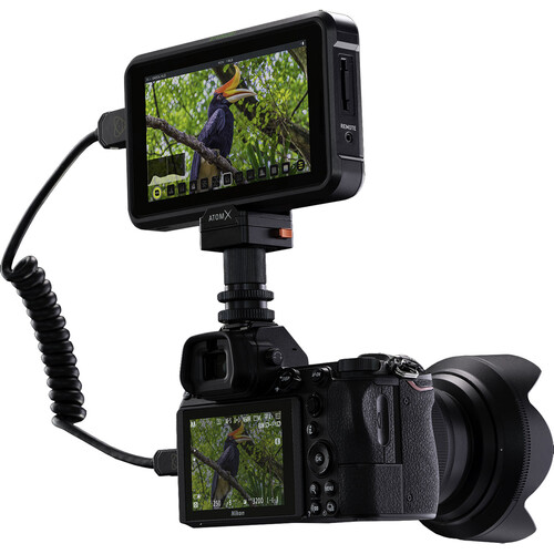 Atomos Shinobi 5.2