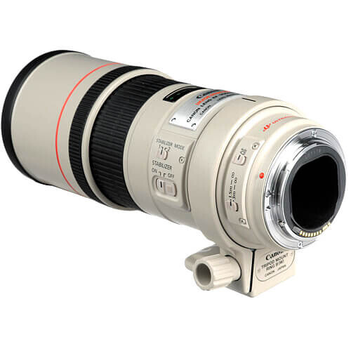 Canon EF 300mm f/4.0L IS USM Lens