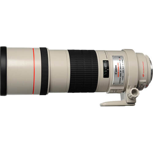 Canon EF 300mm f/4.0L IS USM Lens