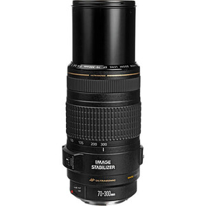 Canon - Canon EF 70-300mm f/4-5.6 IS USM Lens (1)