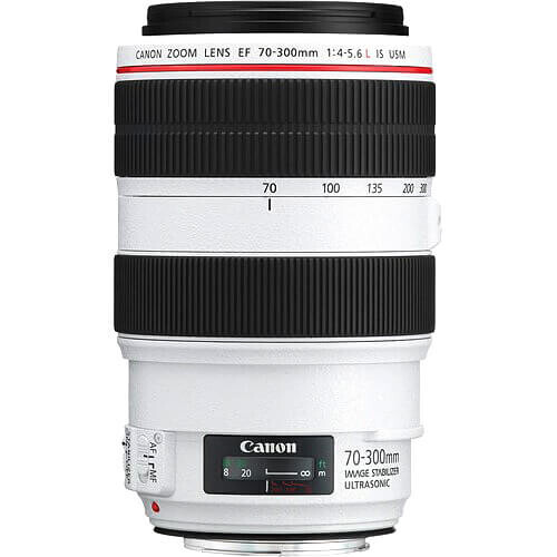 Canon EF 70-300mm f/4-5.6L IS USM Lens