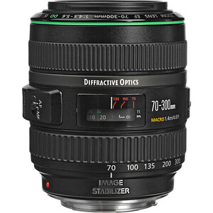 Canon - Canon EF 70-300mm f/4.5-5.6 DO IS USM Lens