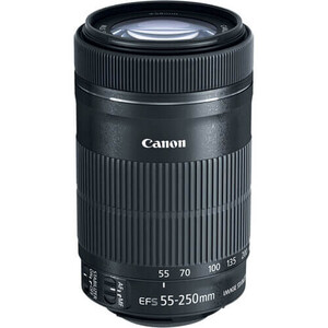 Canon - Canon EF-S 55-250mm f/4-5.6 IS STM Lens (1)