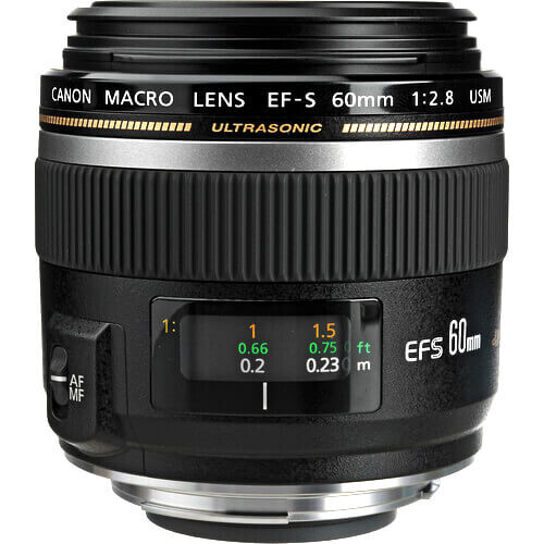Canon EF-S 60mm f/2.8 Makro USM Lens ( Kutusuz Sıfır Demo Ürün - Kameraya takılmadı ) 
