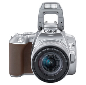 Canon - Canon EOS 250D 18-55 STM DSLR Fotoğraf Makinesi ( Gümüş ) (1)
