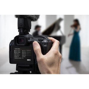 Canon EOS R5 Mark II 24-105mm f/4 Lens Kit - Thumbnail