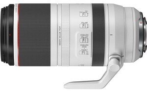 Canon - Canon RF 150-600mm f/5.6L IS USM Lens