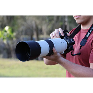 Canon RF 200-800mm f/6.3-9 IS USM Lens - Thumbnail