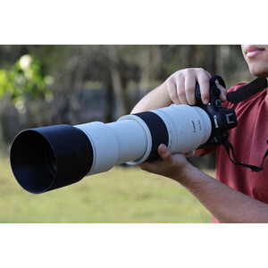 Canon RF 200-800mm f/6.3-9 IS USM Lens - Thumbnail