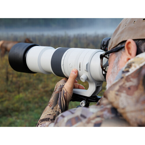 Canon RF 200-800mm f/6.3-9 IS USM Lens