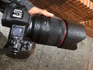 Canon RF 50mm f/1.2L USM Lens - Thumbnail