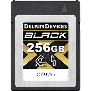 Delkin - Delkin 256GB Black CFexpress Type-B 4.0 Hafıza Kartı