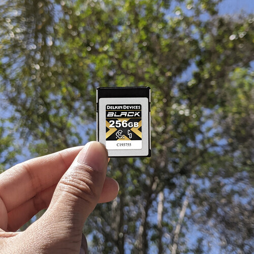 Delkin 256GB Black CFexpress Type-B 4.0 Hafıza Kartı