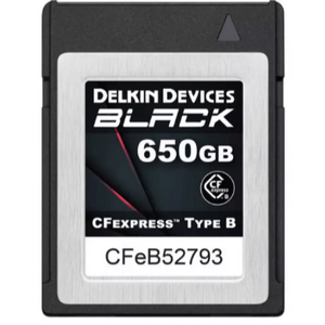 Delkin - Delkin 650GB Black CFexpress Tip B Hafıza Kartı