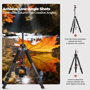 Freewell The Real Multi Tripod 5 in 1 - Thumbnail