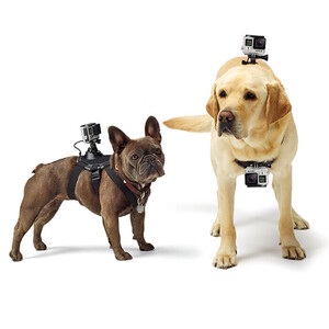 GoPro - GoPro Fetch (Dog Harness) - Köpek Askısı