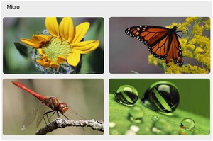 HLYPRO Smart Mobile Lens - Thumbnail