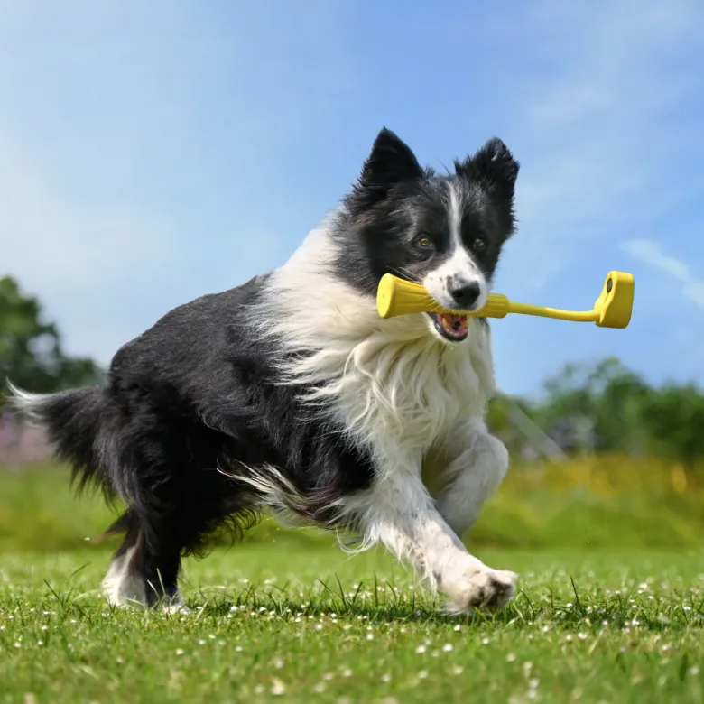 Insta360 - Insta360 GO 3 Fetch Stick