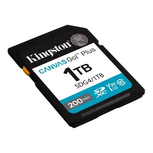 Kingston - Kingston 1TB SDXC Canvas Go! Plus Gen4 200MB/s C10 UHS-I U3 V30 (1)