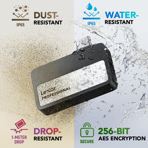 Lexar Professional Go External 2 TB Taşınabilir SSD + Type-C Hub (Siyah)