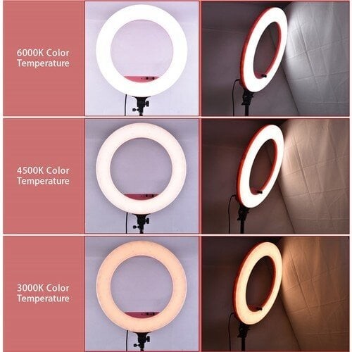 Lifei LF-R480C Ring Led Işık (Siyah) 48W