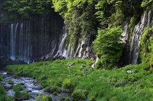 Nikon Nikkor Z 70-180mm f/2.8 Lens ( 11000 TL Para İadesi ) - Thumbnail