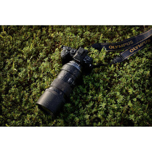 Olympus M.Zuiko Digital ED 300mm f/4 IS PRO Lens - Thumbnail