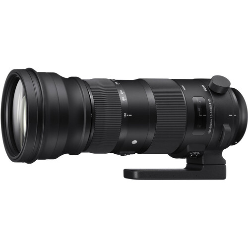 Sigma 150-600mm f/5-6.3 DG OS HSM Sports Lens (Nikon F)
