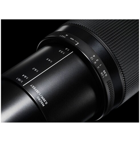 Sigma 18-300mm f/3.5-6.3 DC Macro OS HSM | C Lens (Nikon F)