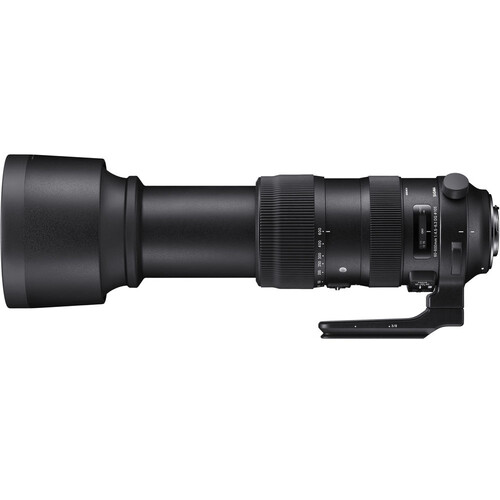 Sigma 60-600mm F/4.5-6.3 DG OS HSM Sports Lens (Nikon F)