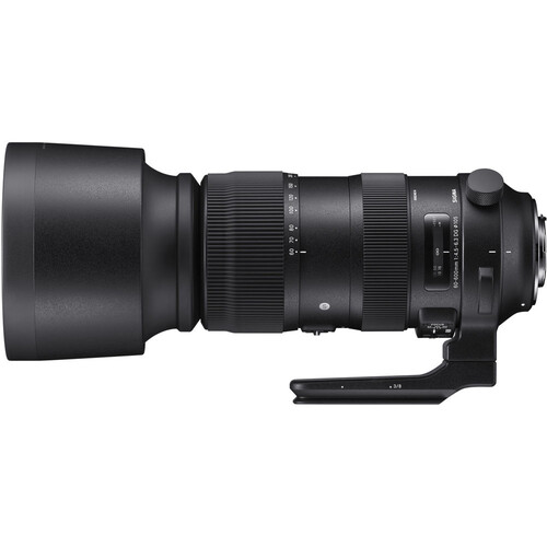 Sigma 60-600mm F/4.5-6.3 DG OS HSM Sports Lens (Nikon F)