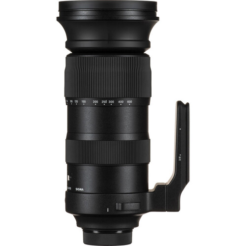 Sigma 60-600mm F/4.5-6.3 DG OS HSM Sports Lens (Nikon F)