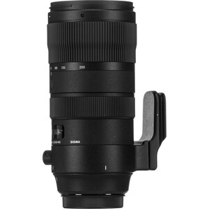Sigma 70-200mm F/2.8 DG OS HSM Sports Lens (Nikon F) - Thumbnail