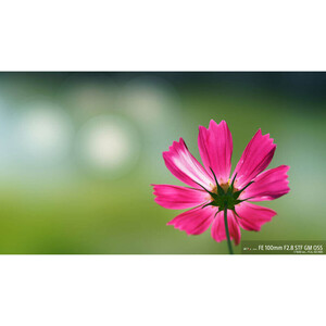 Sony FE 100mm f/2.8 STF GM OSS Lens - Thumbnail