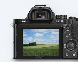 Sony - Sony PCK-LM16 A7 ve A7R için Ekran Koruyucu (1)