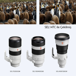 Sony SEL14TC A 1.4x Teleconverter - Thumbnail