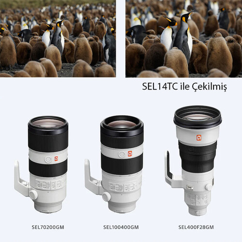 Sony SEL14TC A 1.4x Teleconverter