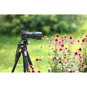 Tamron 90mm f/2.8 Di III VXD Macro Lens (Sony E) - Thumbnail