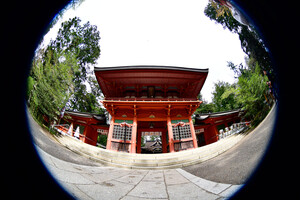 Tokina AF 10-17mm F3.5 - 4.5 ATX NH Lens (Canon EF) - Thumbnail