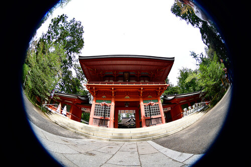 Tokina AF 10-17mm F3.5 - 4.5 ATX NH Lens (Canon EF)
