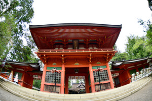 Tokina AF 10-17mm F3.5 - 4.5 ATX NH Lens (Canon EF) - Thumbnail