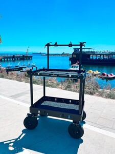 Torkarm - Torkarm Torkcart Small + Monitor Mounting System (DIT) Set (1)