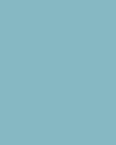 Visico - Visico Sky Blue 2.72 x 11 Metre Fon Kağıdı