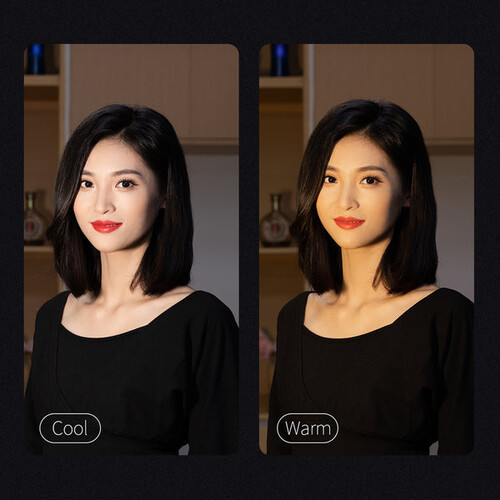 Zhiyun Fiveray M40 Combo 40W Bi-Color Kamera Üstü LED Işık ( 2700K-6200K, 14000Lux )